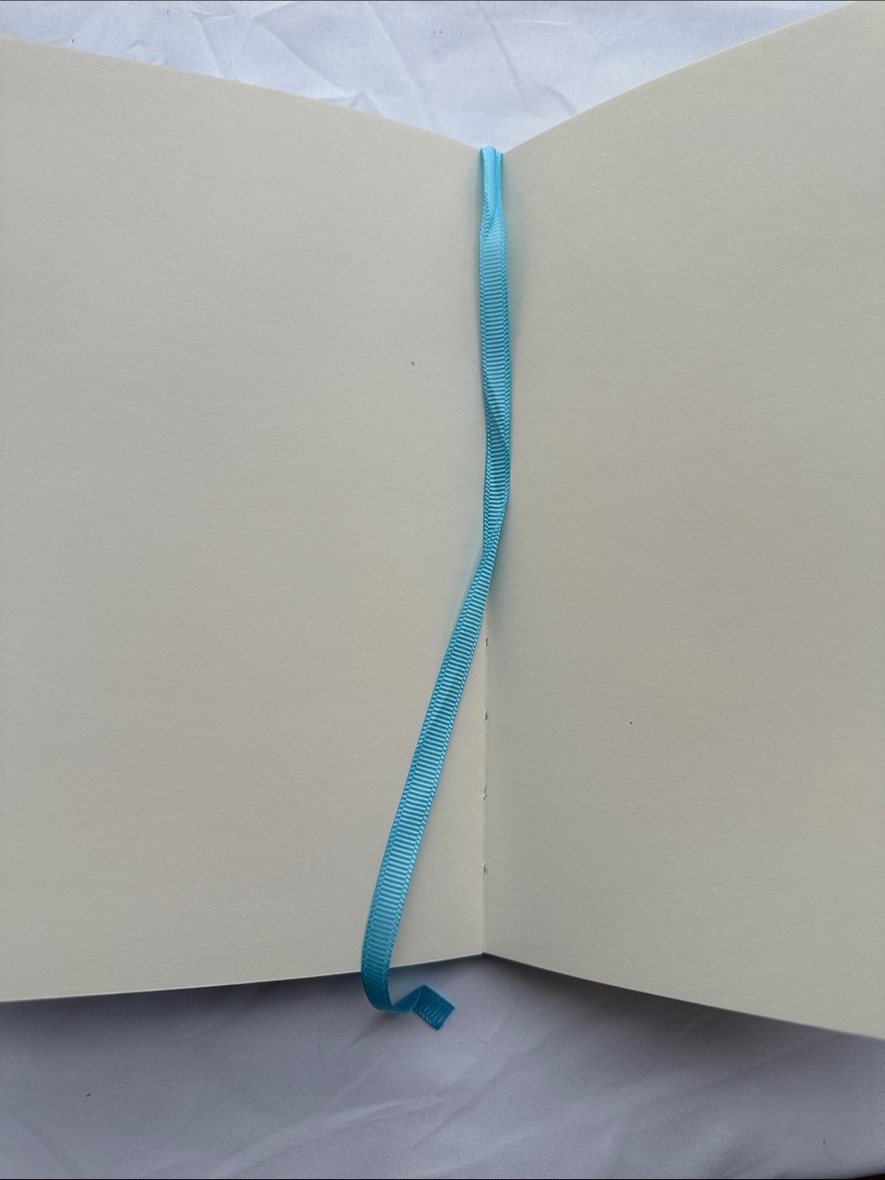 Set of Two Journals - Picture 10 of 11